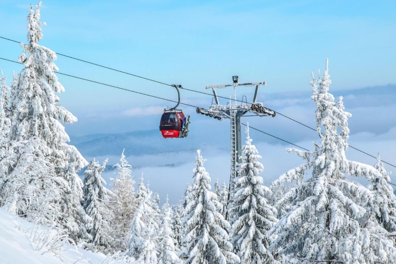 Bukova Lodge Bukowina Tatrzańska Zewnętrze zdjęcie